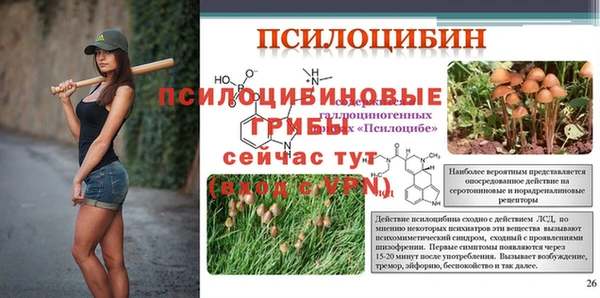 метадон Гусь-Хрустальный