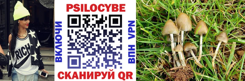 Галлюциногенные грибы мухоморы  Купить где  Куртамыш 